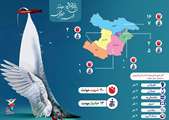 اینفوگرافیک آمار بانوان شهید و جانباز استان قزوین